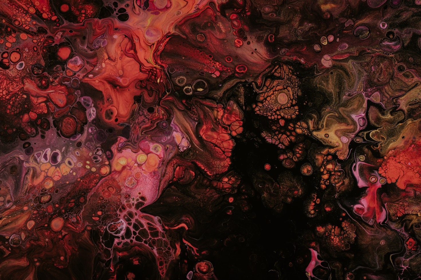 Art as a Mirror: Reflections by D.B. Carolinian
